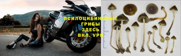 мяу мяу мука Арсеньев