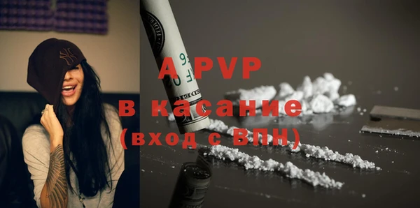 PSILOCYBIN Аркадак
