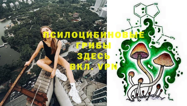 PSILOCYBIN Аркадак