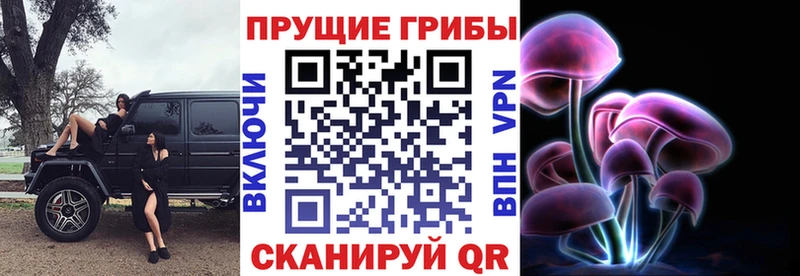 Псилоцибиновые грибы Psilocybine cubensis  Гвардейск 